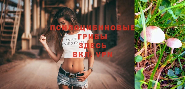 дживик Алексин