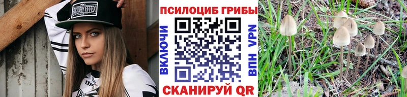 Галлюциногенные грибы GOLDEN TEACHER  Троицк 