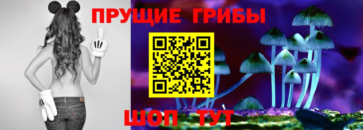 Псилоцибиновые грибы мицелий  Вход с VPN  Троицк 